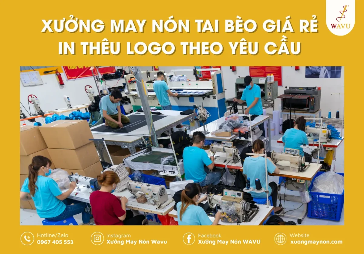 May nón tai bèo